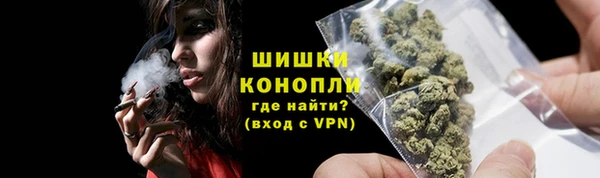стафф Новодвинск