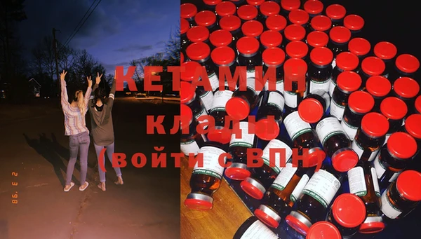 стафф Новодвинск
