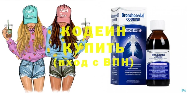 2c-b Новозыбков