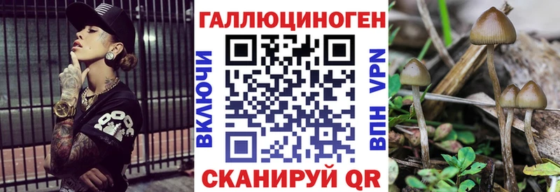 Галлюциногенные грибы Psilocybe  цена наркотик  Ленск 
