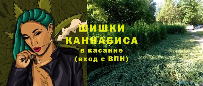 закладки  Ленск  darknet официальный сайт  Бошки марихуана Bruce Banner 